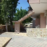 Angelos κandia 캔디아